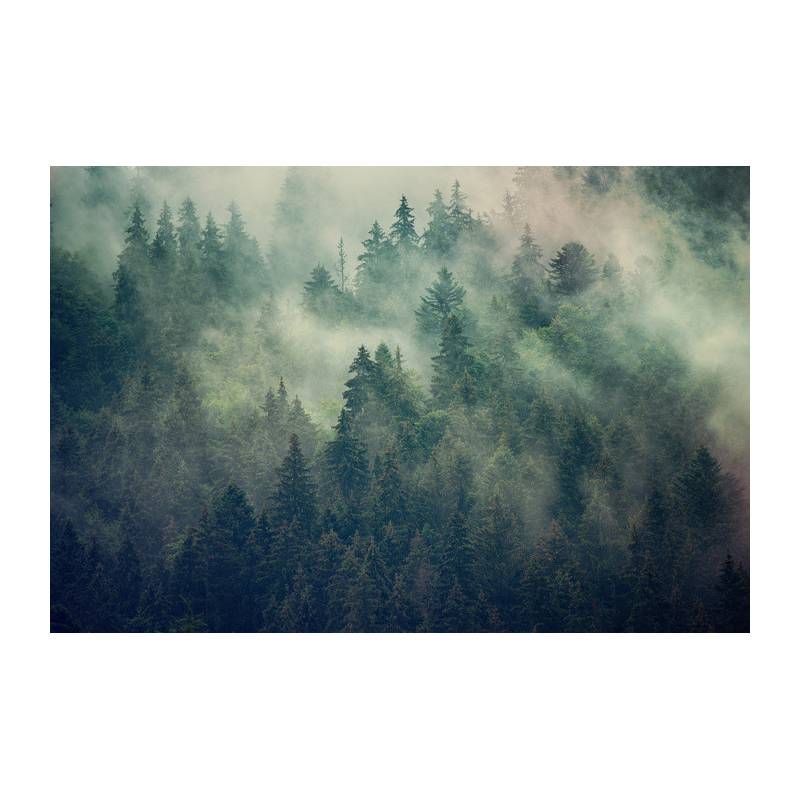 Obraz Na Płótnie Misty Landscape With Fir Forest In Hipster Vintage Retro Style