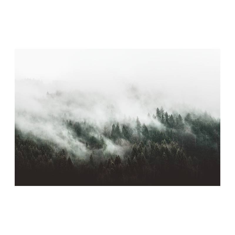 Obraz Na Płótnie Moody Forest Landscape With Fog And Mist