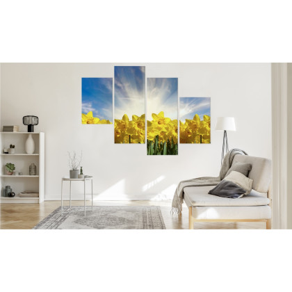 Obraz Wieloczęściowy Pole Żonkili 3D
