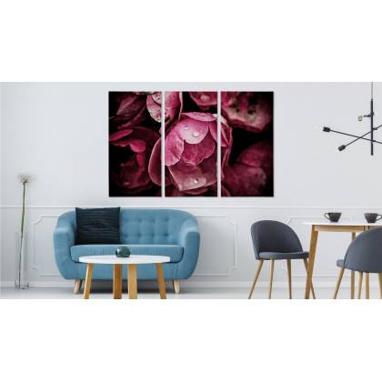 Obraz Wieloczęściowy Kwiaty Piwonii Z Bliska 3D