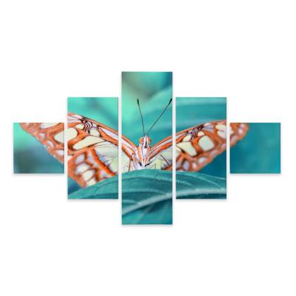 Obraz Wieloczęściowy Motyl Na Liściu W Skali Makro