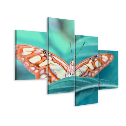 Obraz Wieloczęściowy Motyl Na Liściu W Skali Makro