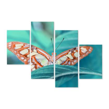 Obraz Wieloczęściowy Motyl Na Liściu W Skali Makro