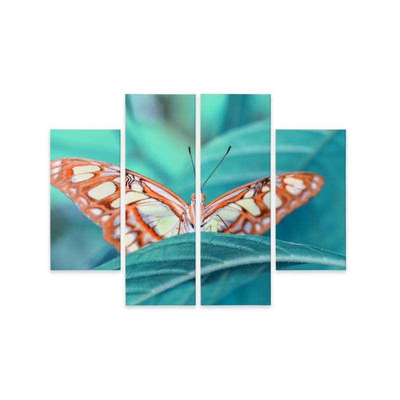 Obraz Wieloczęściowy Motyl Na Liściu W Skali Makro