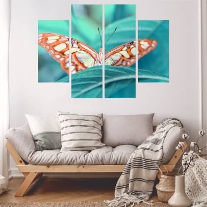 Obraz Wieloczęściowy Motyl Na Liściu W Skali Makro