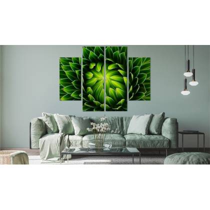 Obraz Wieloczęściowy Zielona Roślina W Skali Makro