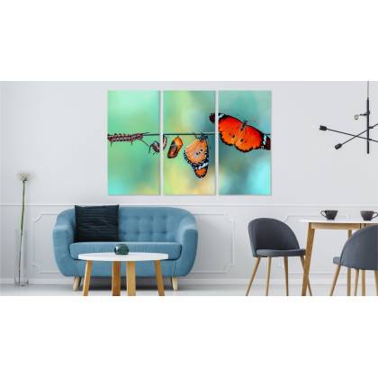 Obraz Wieloczęściowy Kolorowe Gąsienice I Motyle W Skali Makro