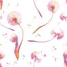 Tapeta Letnie Dmuchawce