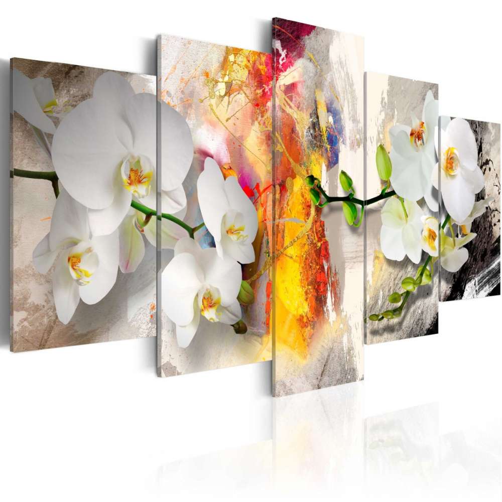 Obraz  Orchidea i kolory