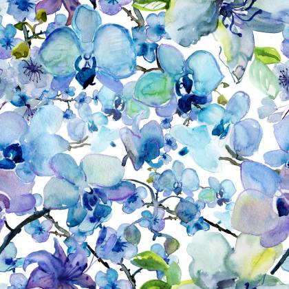 Tapeta Malowane Akwarelą Orchidee