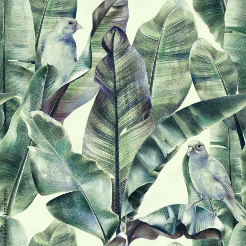 Tapeta Tapeta