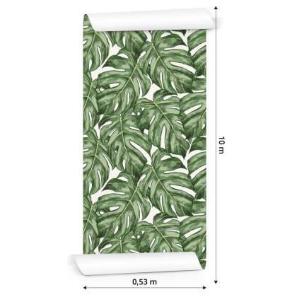 Tapeta Liście Monstera