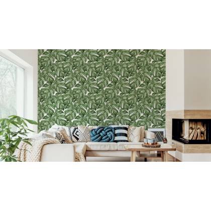Tapeta Liście Monstera