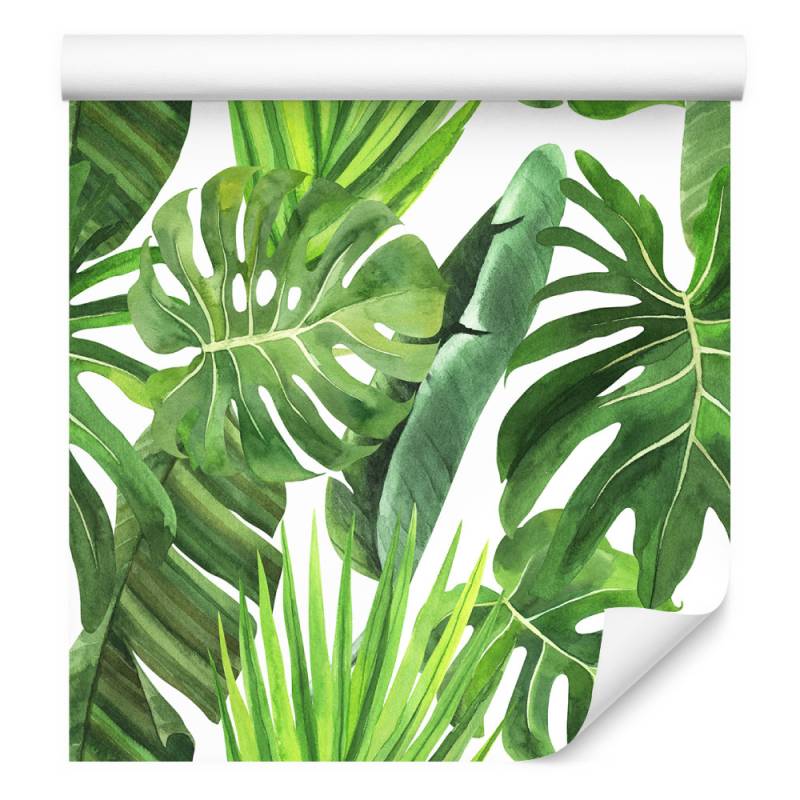 Tapeta Zielone Liście Monstery