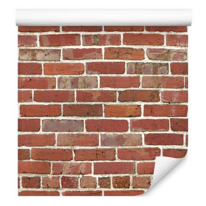Tapeta Cegła-Mur 3D