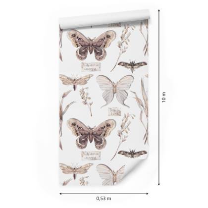 Tapeta Do Kuchni, Motyle, Kwiaty, Rośliny, Natura
