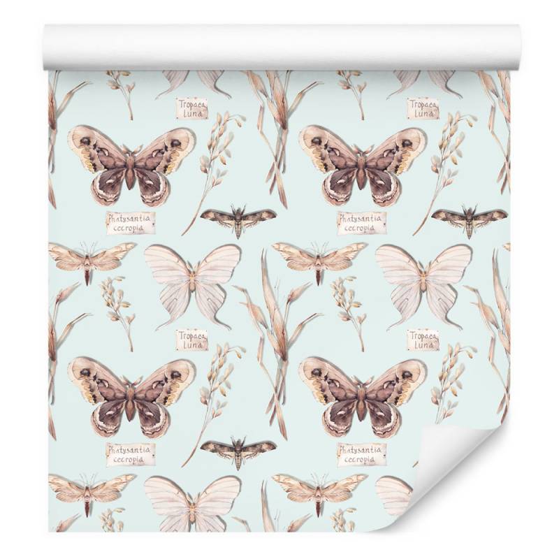 Tapeta Do Jadalni Motyle, Kwiaty, Rośliny, Natura