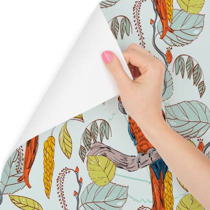 Tapeta – Piękne Kolorowe Papugi