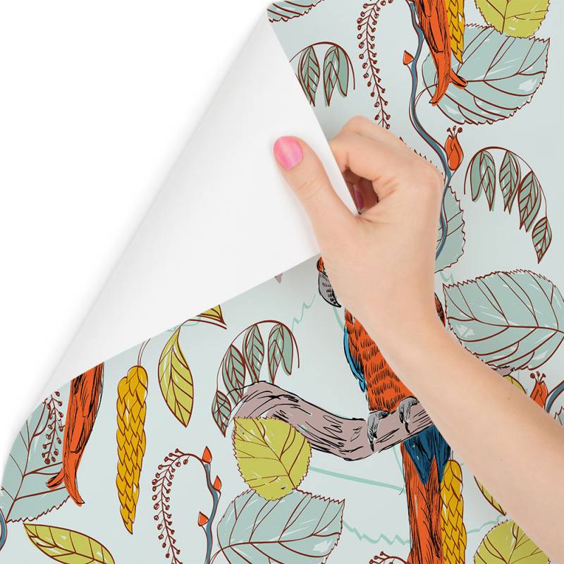 Tapeta – Piękne Kolorowe Papugi