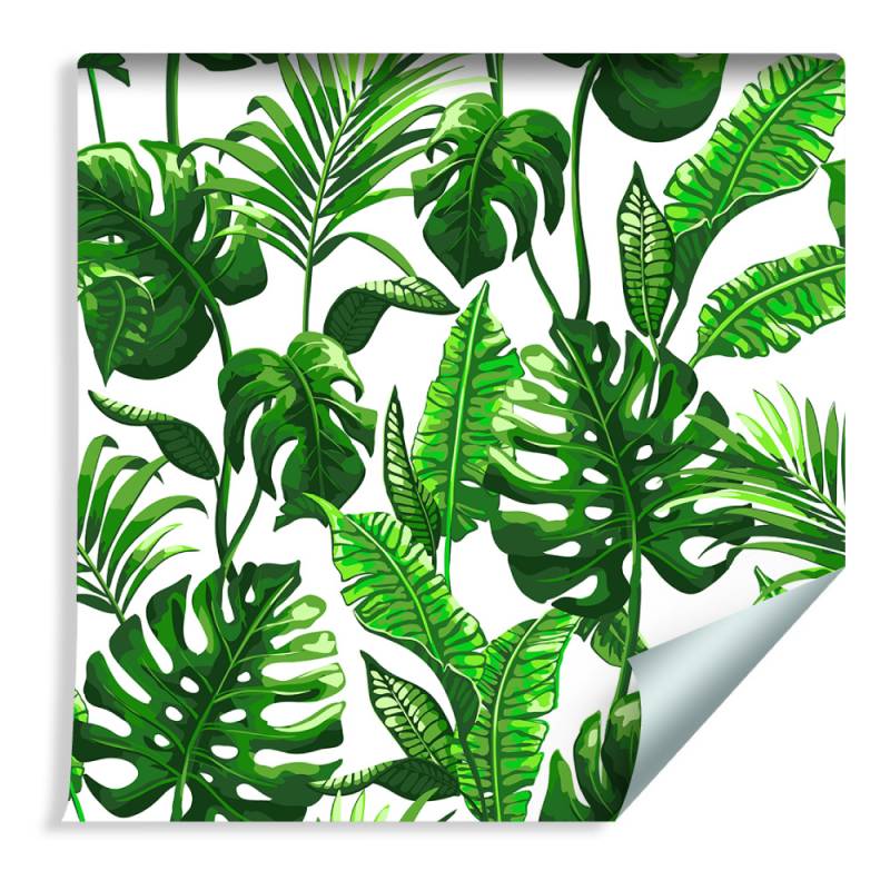 Tapeta Liście Monstera I Palmy