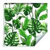 Tapeta Liście Monstera I Palmy