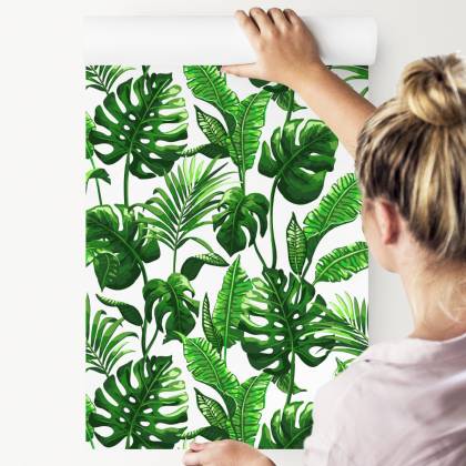 Tapeta Liście Monstera I Palmy