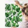 Tapeta Liście Monstera I Palmy