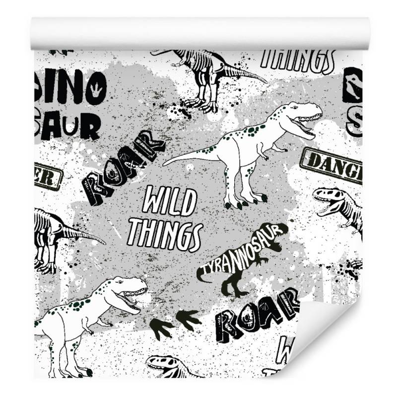 Tapeta W Dinozaury, Zwierzęta, Do Pokoju Dziecka