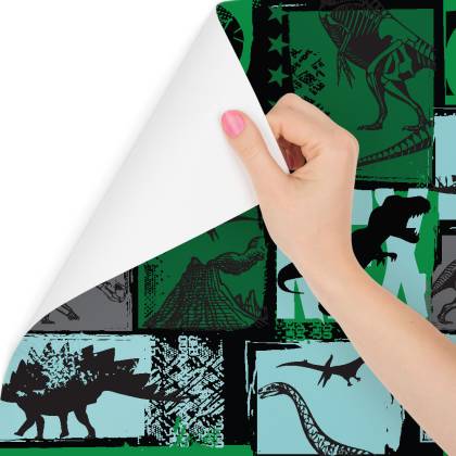 Tapeta Z Dinozaurami, Pokój Młodzieżowy