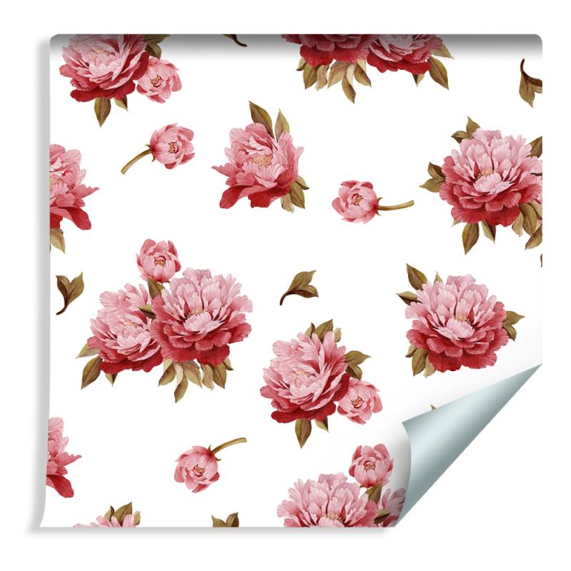 Tapeta Kolorowe Peonie - Akwarela
