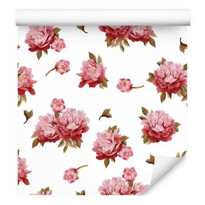 Tapeta Kolorowe Peonie - Akwarela