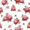 Tapeta Kolorowe Peonie - Akwarela