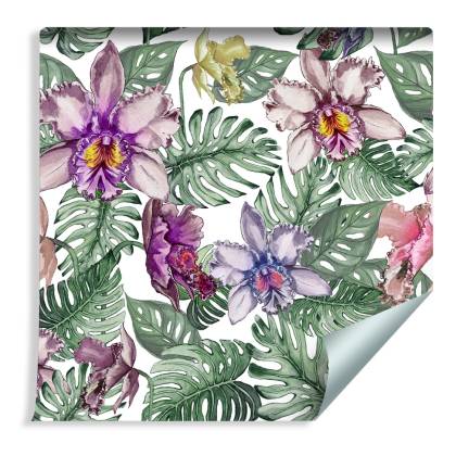 Tapeta Kolorowe Kwiaty Orchidei I Liście Monstery
