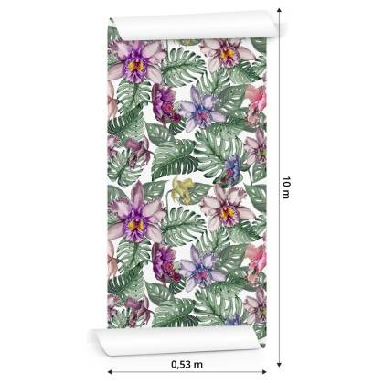 Tapeta Kolorowe Kwiaty Orchidei I Liście Monstery