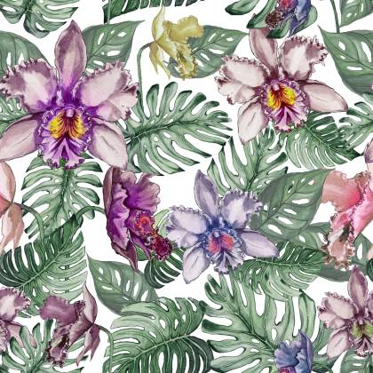 Tapeta Kolorowe Kwiaty Orchidei I Liście Monstery