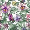 Tapeta Kolorowe Kwiaty Orchidei I Liście Monstery