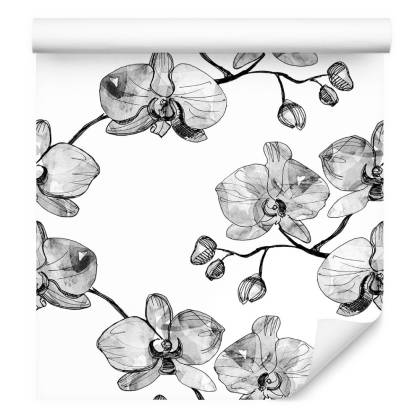 Tapeta Do Salonu Storczyki Kwiaty Orchidea Natura