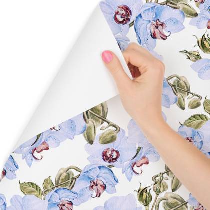 Tapeta Do Salonu Storczyki Liście Przyroda Rośliny