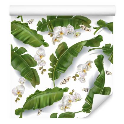 Tapeta Do Salonu Kwiaty Storczyki Natura