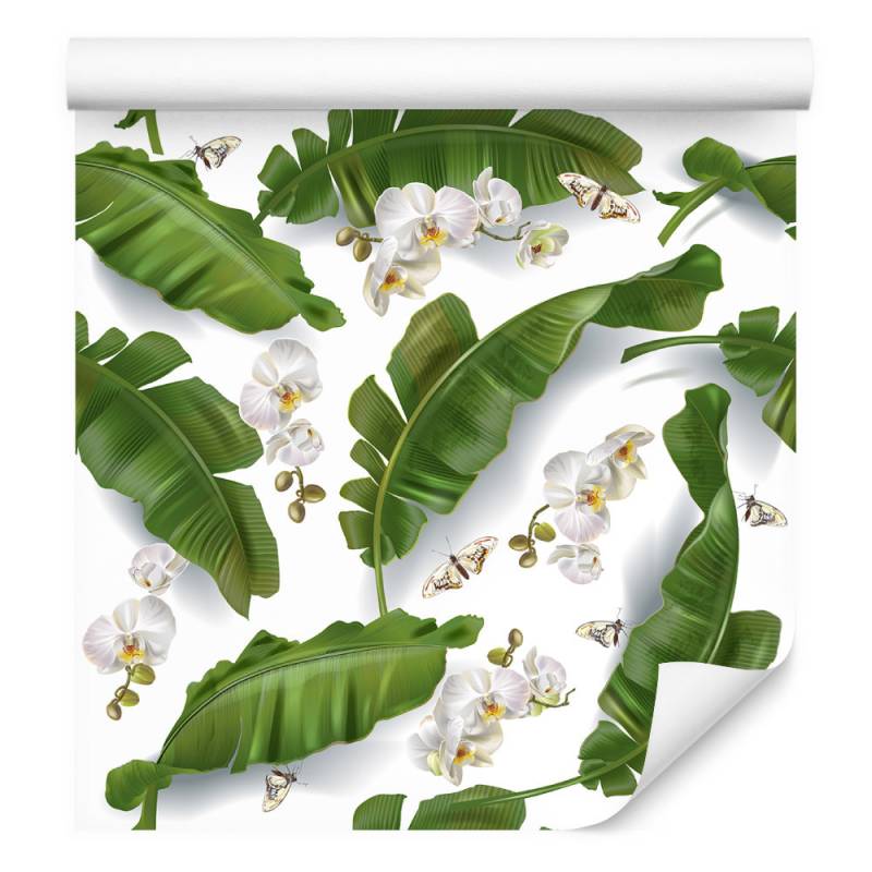Tapeta Do Salonu Kwiaty Storczyki Natura