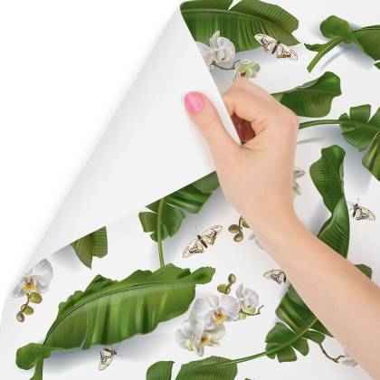 Tapeta Do Salonu Kwiaty Storczyki Natura