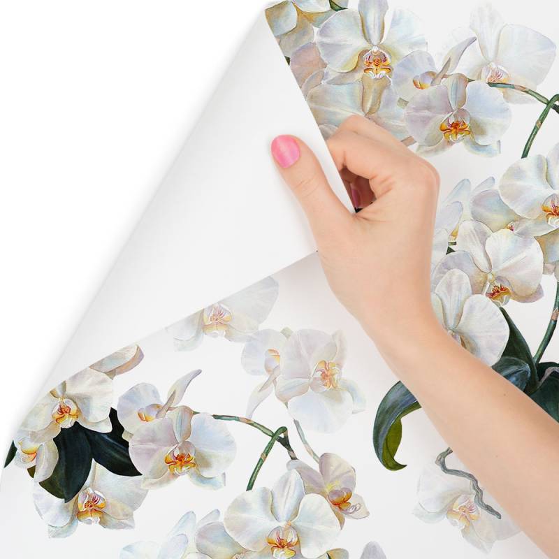 Tapeta Do Sypialni Egzotyczne Storczyki Orchidee