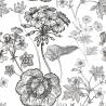 Tapeta Czarno-Białe Pelargonie