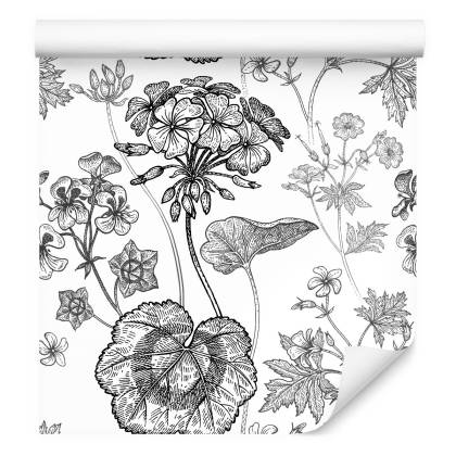 Tapeta Czarno-Białe Pelargonie
