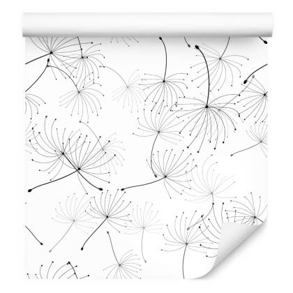 Tapeta Do Sypialni Czarno-Białe Nasiona Dmuchawca