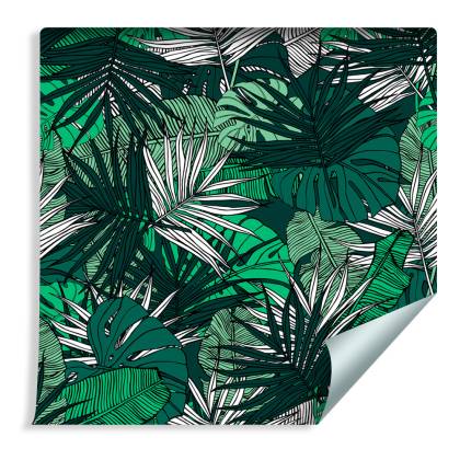 Tapeta Liście Monstera Bananowca Palmy