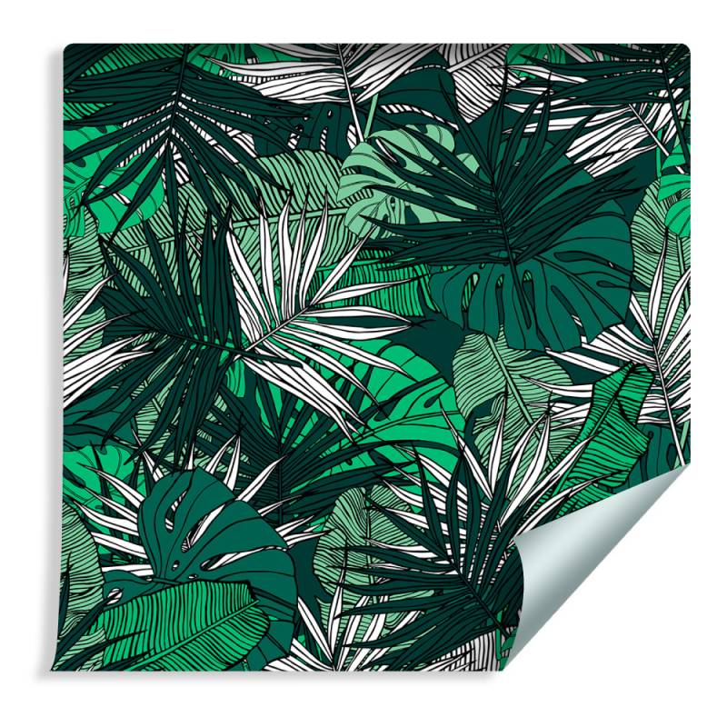 Tapeta Liście Monstera Bananowca Palmy