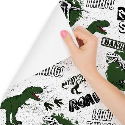 Tapeta Do Pokoju Młodzieżowego, Dinozaury