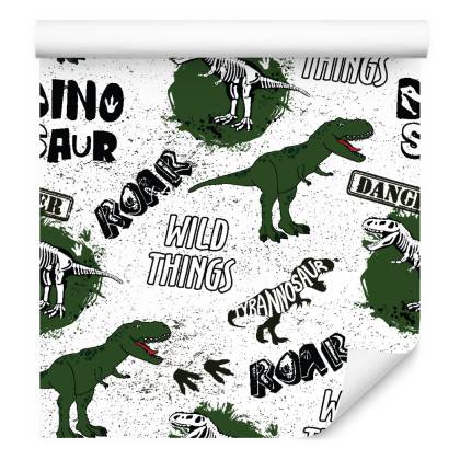 Tapeta Do Pokoju Młodzieżowego, Dinozaury