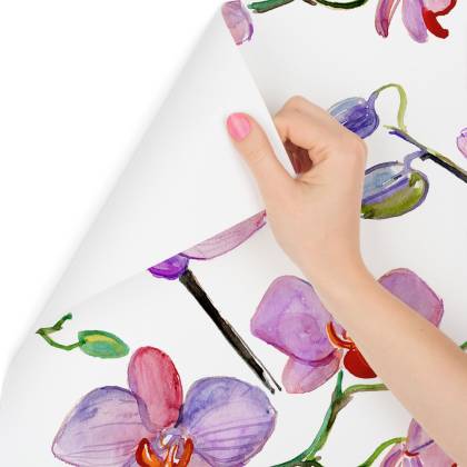 Tapeta Do Salonu Orchidee Storczyki Kwiaty Rośliny